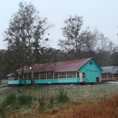 База отдыха Сосновая Поляна, Светлогорск, Калининградская область