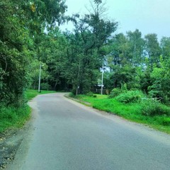 База отдыха Сосновая Поляна, Светлогорск, Калининградская область