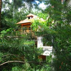 Пансионат Сосны, Светлогорск, Калининградская область