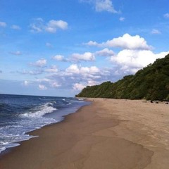 База отдыха Сосновая Поляна, Светлогорск, Калининградская область