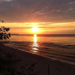 База отдыха Сосновая Поляна, Светлогорск, Калининградская область