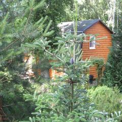 Пансионат Сосны, Светлогорск, Калининградская область