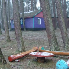 База отдыха Сосновая Поляна, Светлогорск, Калининградская область