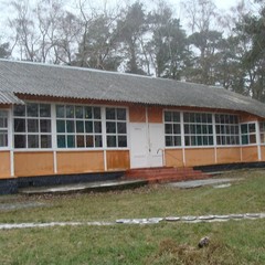 База отдыха Сосновая Поляна, Светлогорск, Калининградская область