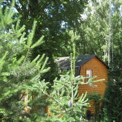 Пансионат Сосны, Светлогорск, Калининградская область