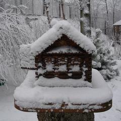 Пансионат Сосны, Светлогорск, Калининградская область
