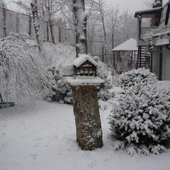 Пансионат Сосны, Светлогорск, Калининградская область