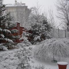 Пансионат Сосны, Светлогорск, Калининградская область