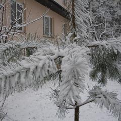 Пансионат Сосны, Светлогорск, Калининградская область