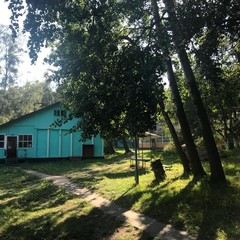 База отдыха Сосновая Поляна, Светлогорск, Калининградская область