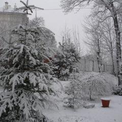 Пансионат Сосны, Светлогорск, Калининградская область