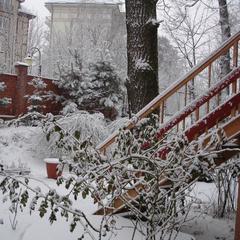 Пансионат Сосны, Светлогорск, Калининградская область