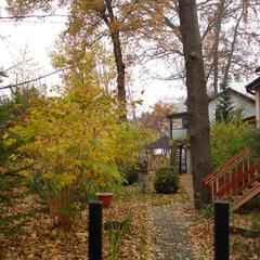 Пансионат Сосны, Светлогорск, Калининградская область