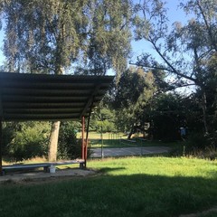 База отдыха Сосновая Поляна, Светлогорск, Калининградская область