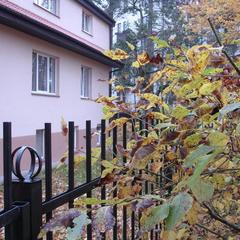 Пансионат Сосны, Светлогорск, Калининградская область