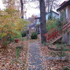 Пансионат Сосны, Светлогорск, Калининградская область