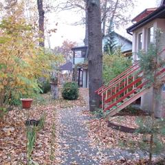 Пансионат Сосны, Светлогорск, Калининградская область