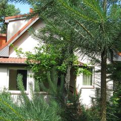 Пансионат Сосны, Светлогорск, Калининградская область