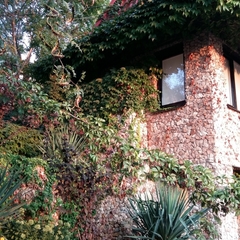 Вилла Никита, Севастополь, Крым