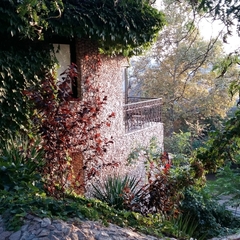 Вилла Никита, Севастополь, Крым