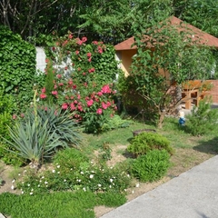 Гостиница Джулия, Севастополь, Крым