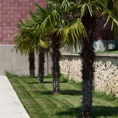 Гостиница Ривьера, Севастополь, Крым