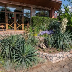 Гостиница Омега-Клуб, Севастополь, Крым