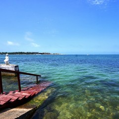Гостиница Омега-Клуб, Севастополь, Крым