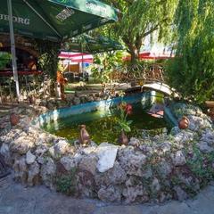 Отель Ярд, Севастополь, Крым