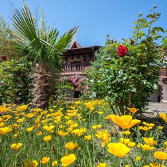 Гостиница Омега-Клуб, Севастополь, Крым