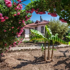 Гостиница Омега-Клуб, Севастополь, Крым