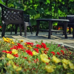 Гостиница Вербена, Севастополь, Крым