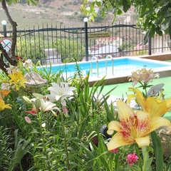 Гостевой дом Коралловая, Севастополь, Крым