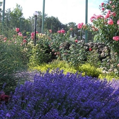 Санаторий Альбатрос, Севастополь, Крым