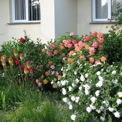 Санаторий Альбатрос, Севастополь, Крым