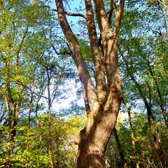 Туристический комплекс Апитерем, Северская, Краснодарский край