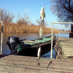 База отдыха Семерка, Володарский район, Астраханская область