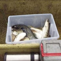 Рыболовно-охотничий клуб Северный Каспий, Володарский район, Астраханская область