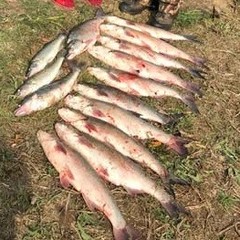 Рыболовно-охотничий клуб Северный Каспий, Володарский район, Астраханская область