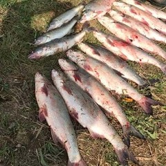 Рыболовно-охотничий клуб Северный Каспий, Володарский район, Астраханская область