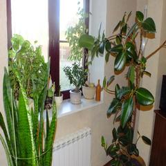 Отель Волга, Селижарово, Тверская область