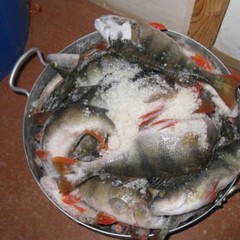 Рыболовно-охотничья база Рыбалка-Лайф, Харабали, Астраханская область