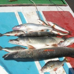 Рыболовно-охотничья база Рыбалка-Лайф, Харабали, Астраханская область