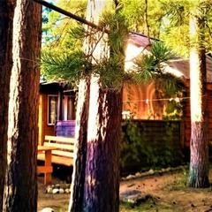 Гостевой дом на базе "Чайка-Селигер", Селижарово, Тверская область