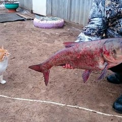 Усадьба Бородей, Харабалинский район, Астраханская область