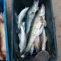 Усадьба Бородей, Харабалинский район, Астраханская область