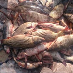 Усадьба Бородей, Харабалинский район, Астраханская область