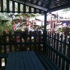 База отдыха Сарай-Бату, Селитренное, Астраханская область