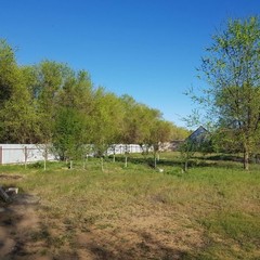 Рыболовно-охотничья база Рыбалка-Лайф, Харабали, Астраханская область