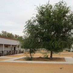 Рыболовно-охотничья база Рыбалка-Лайф, Харабали, Астраханская область